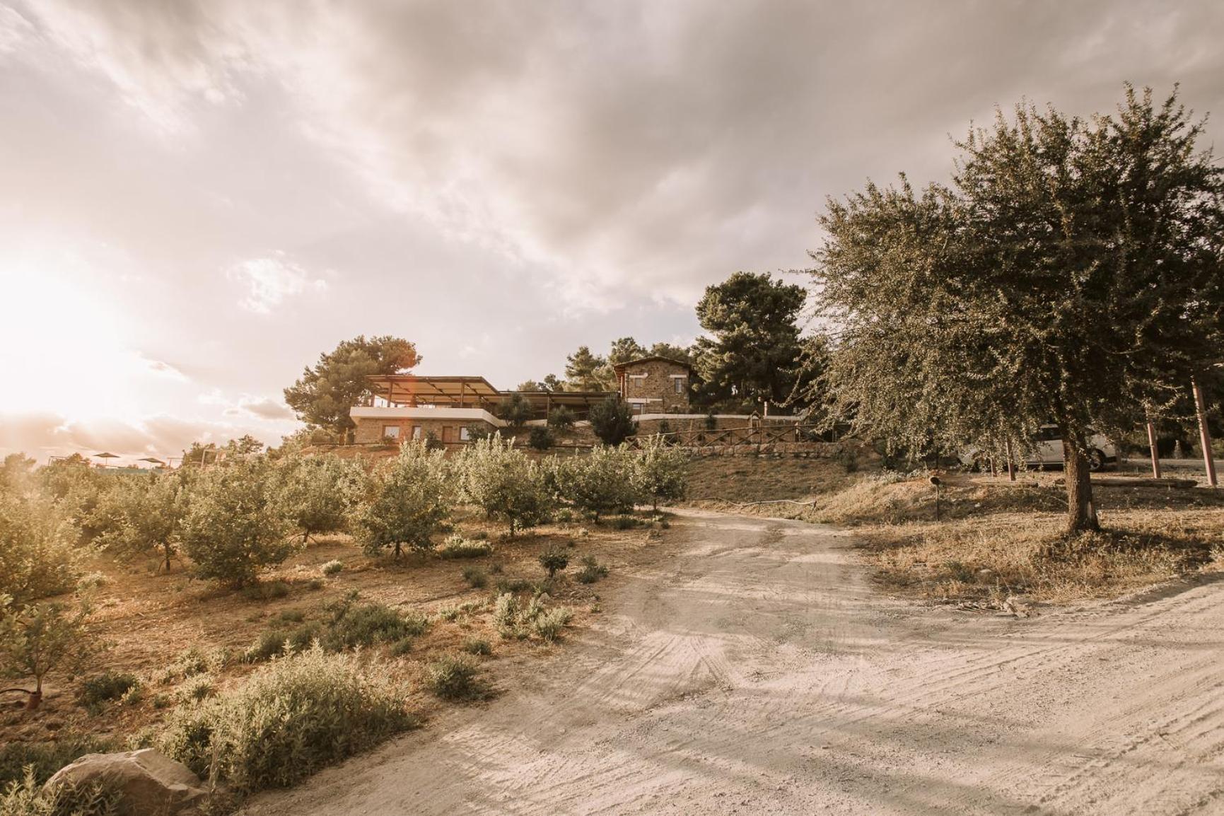 Casale 700 Bed & Breakfast Amendolara Exterior photo